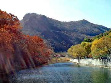 正版澳门天天开彩大全，快餐桌图片